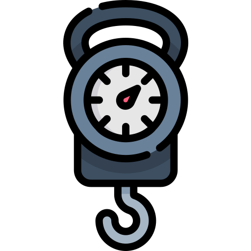 Scale free icon Scale free icon