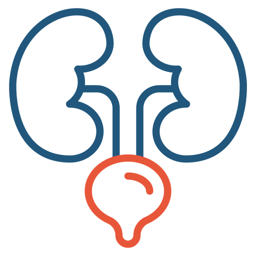 riñón icono gratis