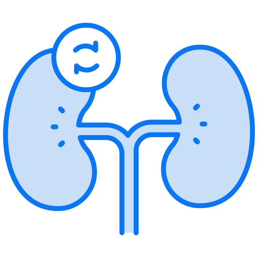 greffe du rein Icône gratuit greffe du rein Icône gratuit