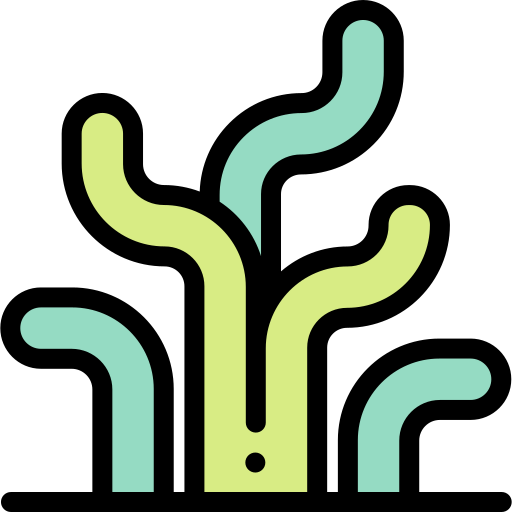 seetang kostenlos Icon