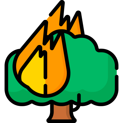 Forest fire Special Lineal color icon