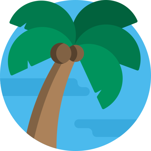 Palmera icono gratis