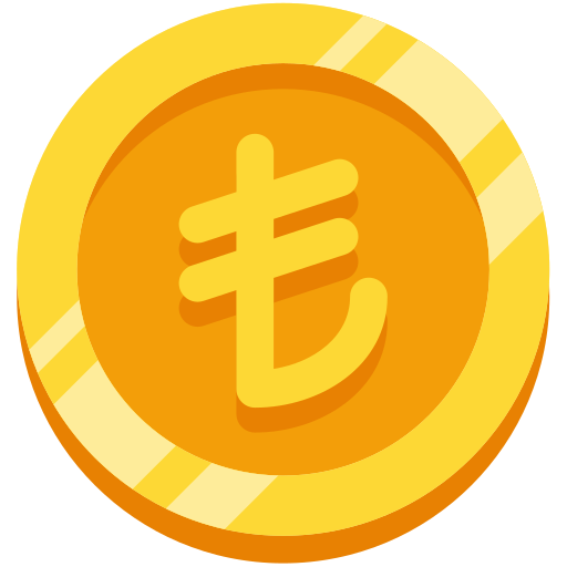 moneda de lira turca icono gratis