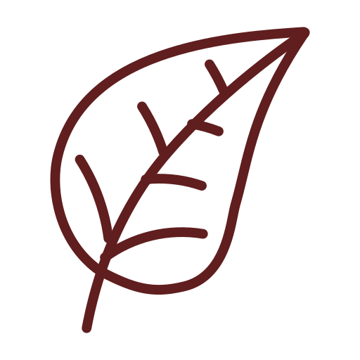 hojas de betel icono gratis