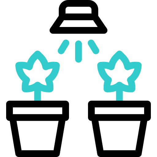 Растения бесплатно иконка