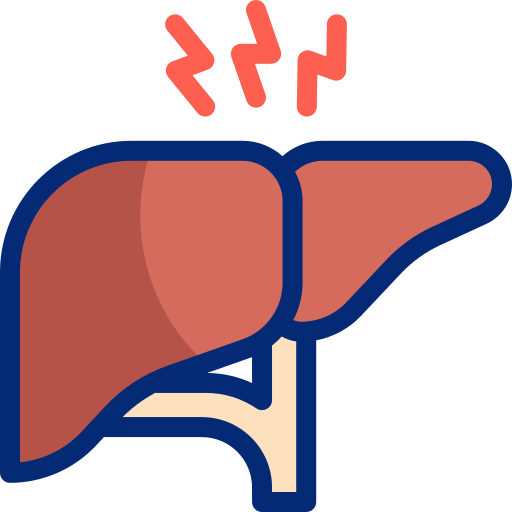 Liver free icon Liver free icon