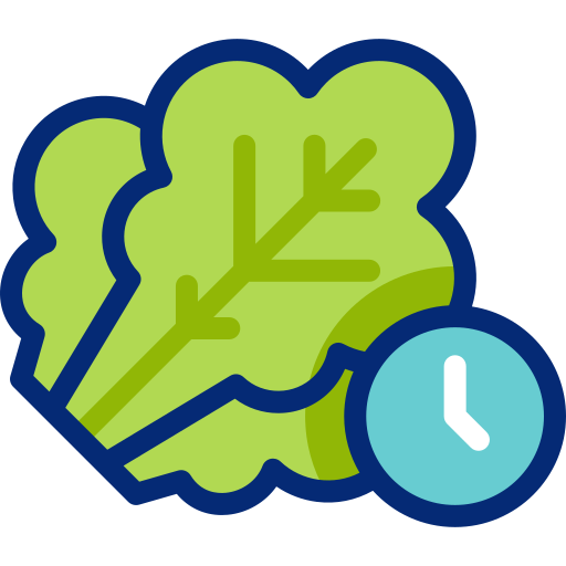 lechuga icono gratis