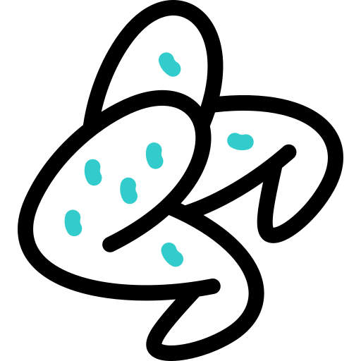 Chicken wings free icon