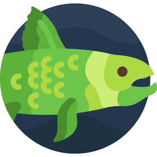 Dinichthys icono gratis