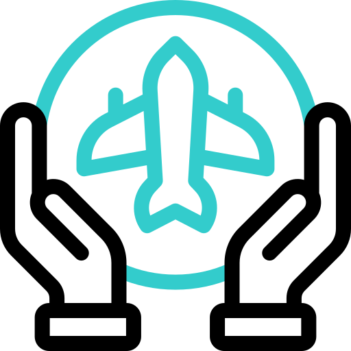 protección de aviones icono gratis