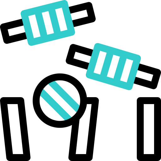 juego de críquet icono gratis