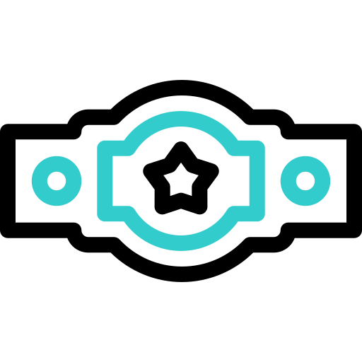 cinturón de campeonato icono gratis