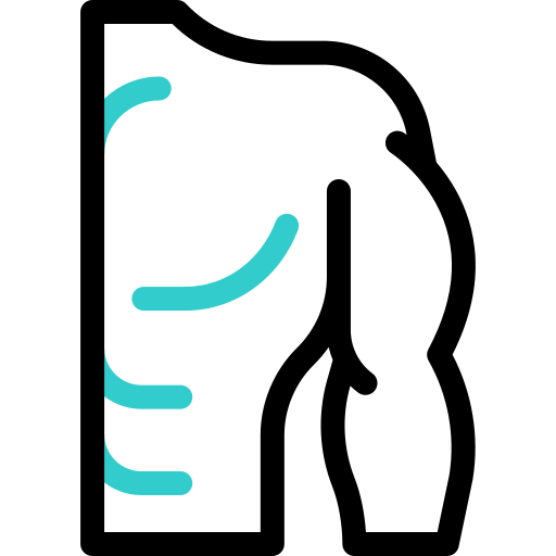 cuerpo humano icono gratis