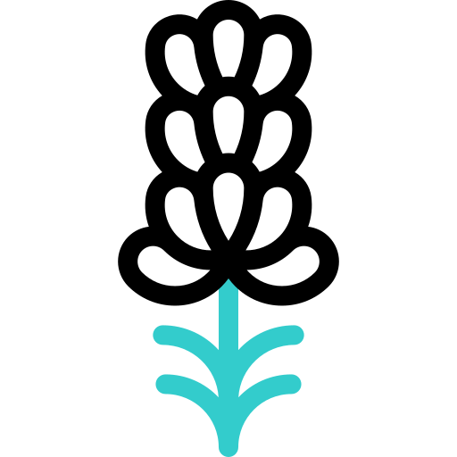 lavendel kostenlos Icon