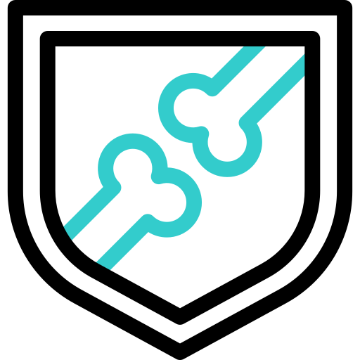 protection Icône gratuit