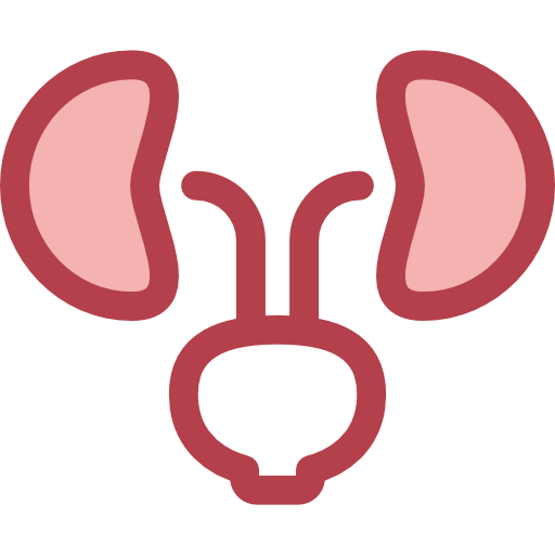 rins grátis ícone rins grátis ícone