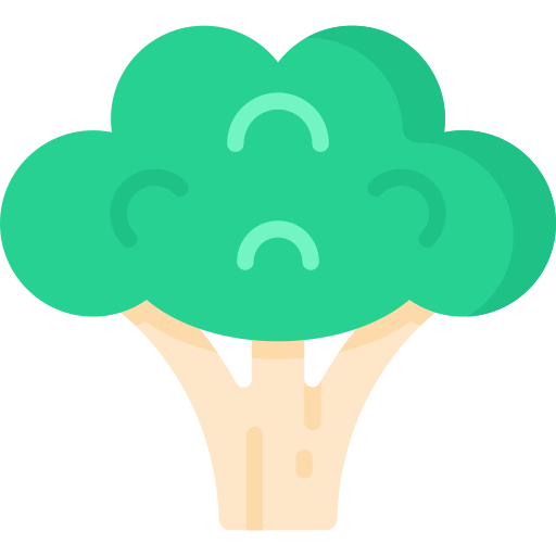 Брокколи бесплатно иконка