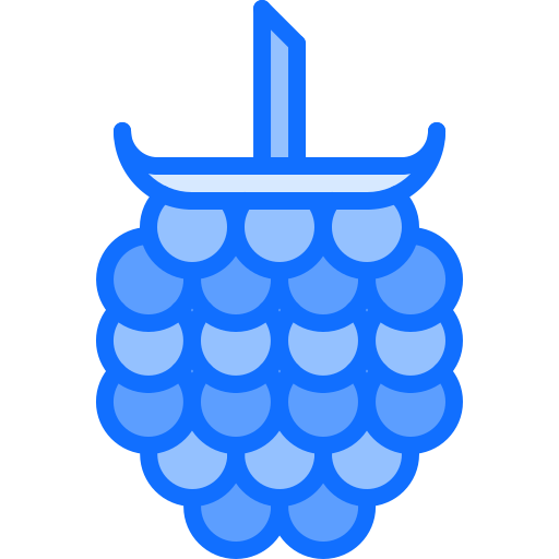 Frambuesas icono gratis