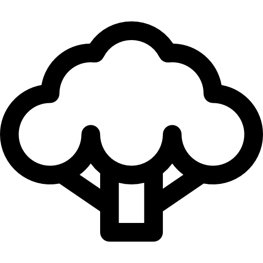 Broccoli Basic Rounded Lineal icon