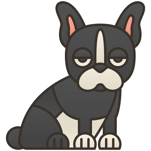 Boston terrier grátis ícone