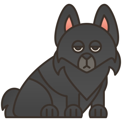 Schipperke free icon