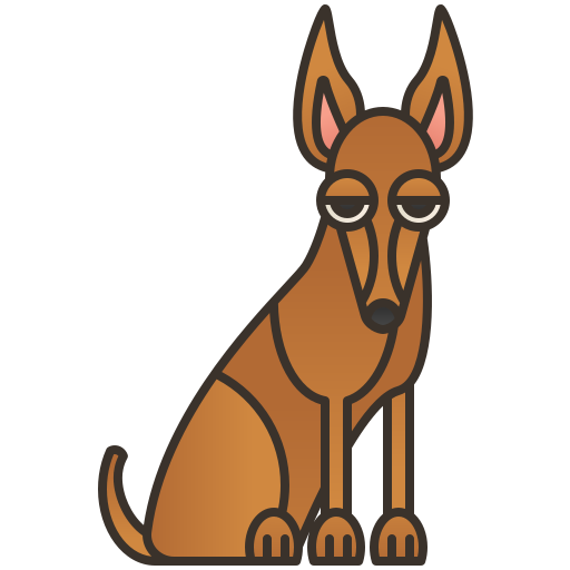 Podenco faraónico icono gratis