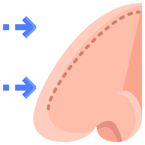 Rinoplastia grátis ícone Rinoplastia grátis ícone