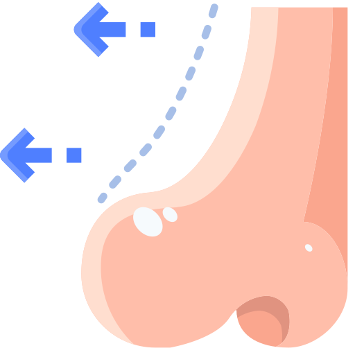 Rinoplastia grátis ícone Rinoplastia grátis ícone