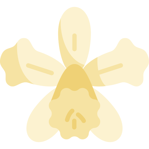 orquídea icono gratis