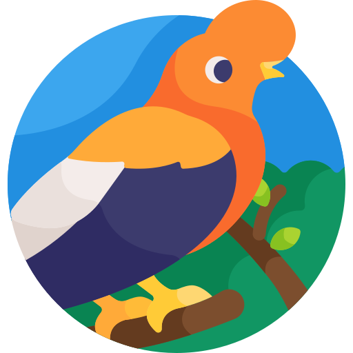 hahn des felsens kostenlos Icon