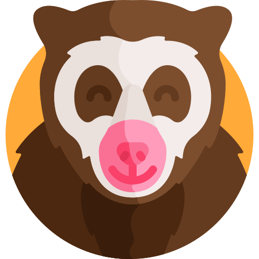 Spectacled Bear Detailed Flat Circular Flat Icon