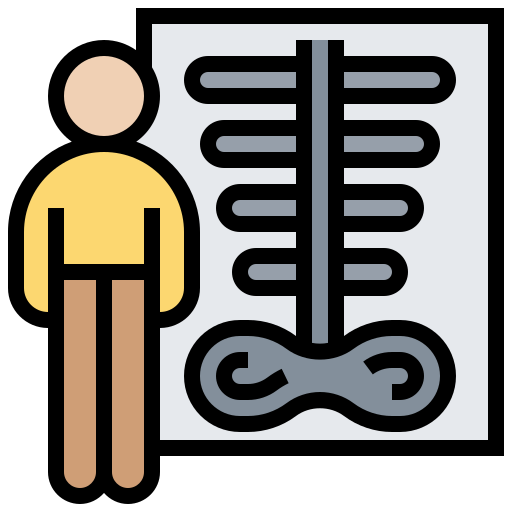 Bone density Meticulous Lineal Color icon