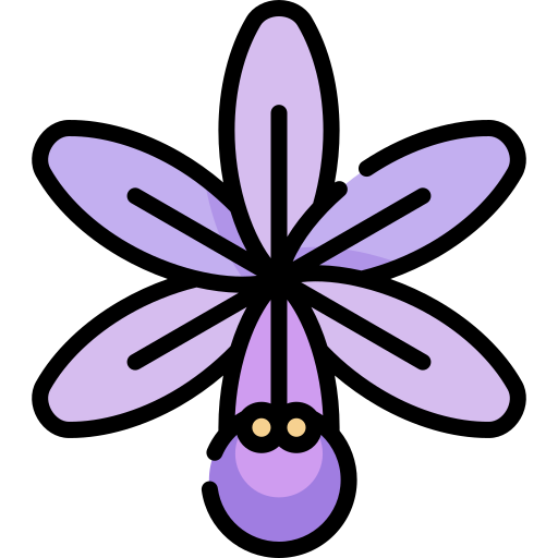 Orquídea icono gratis