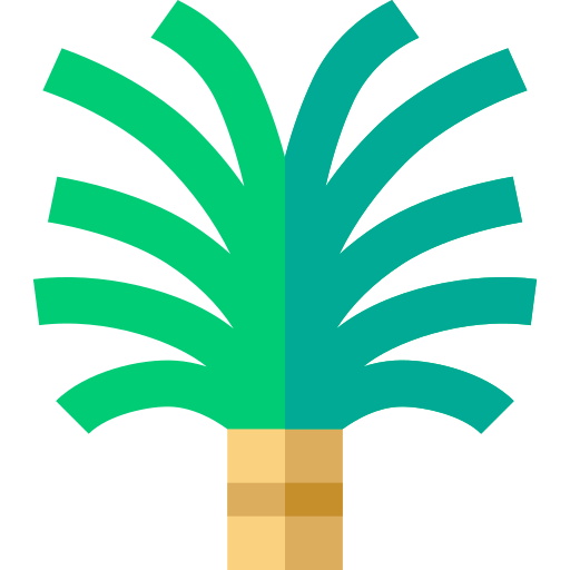 palmera de azucar icono gratis