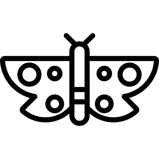 papillon Icône gratuit