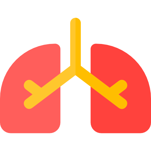 Lungs Basic Rounded Flat icon