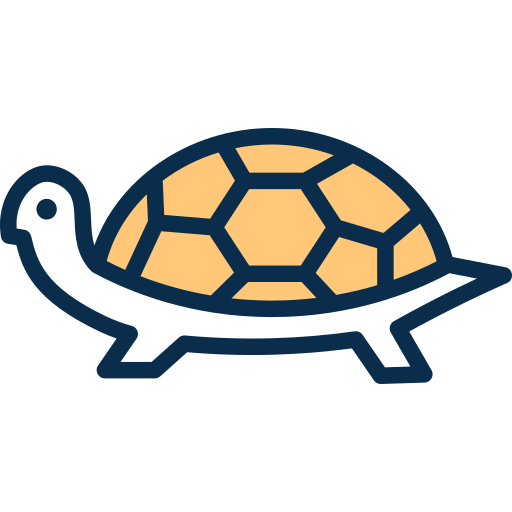 Turtle SBTS2018 Lineal Color icon