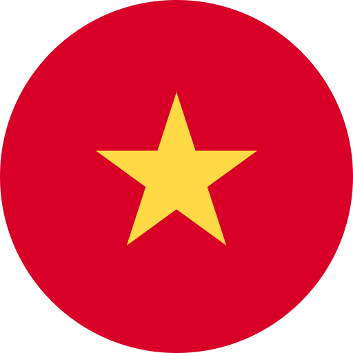 Vietnam Flag