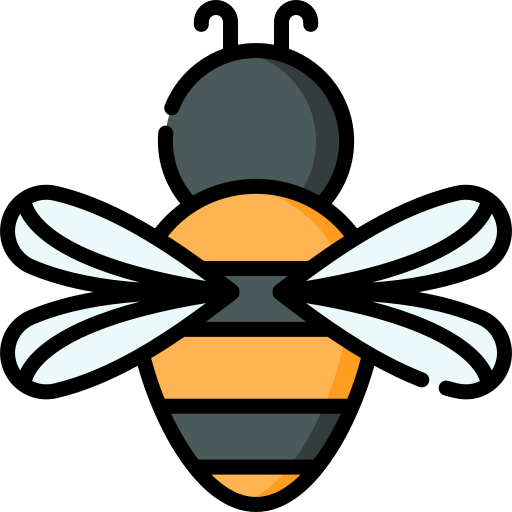 Bee Special Lineal color icon