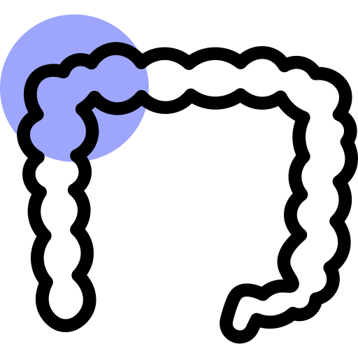 doppelpunkt kostenlos Icon