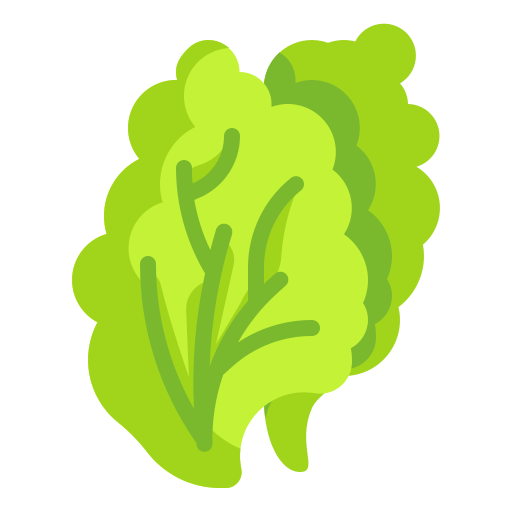 lettuce vector png