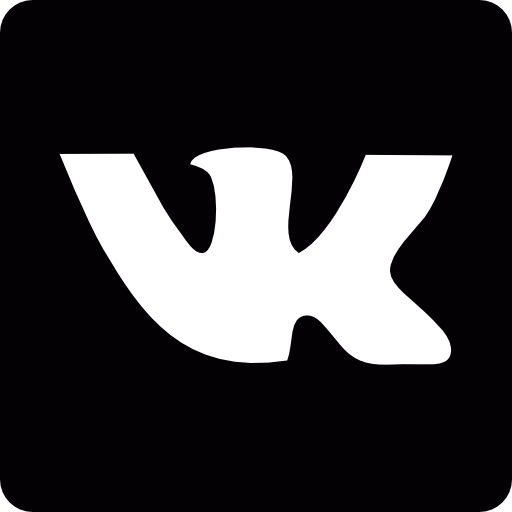 reproductor vk icono gratis