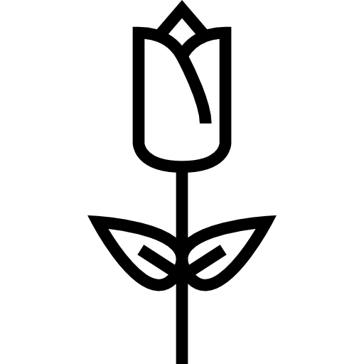 tulipán icono gratis