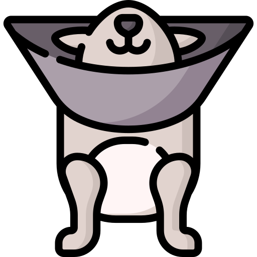 Elizabethan collar free icon Elizabethan collar free icon