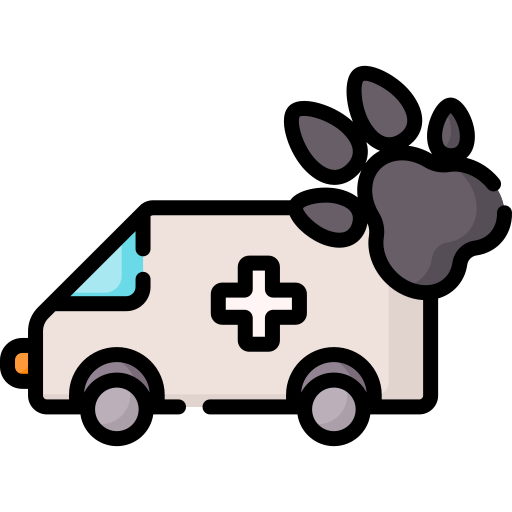 Ambulância grátis ícone Ambulância grátis ícone