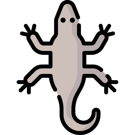 Lizard free icon Lizard free icon