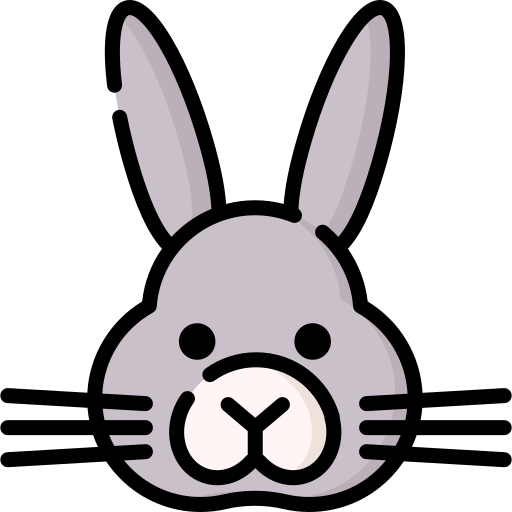 Rabbit Special Lineal color icon