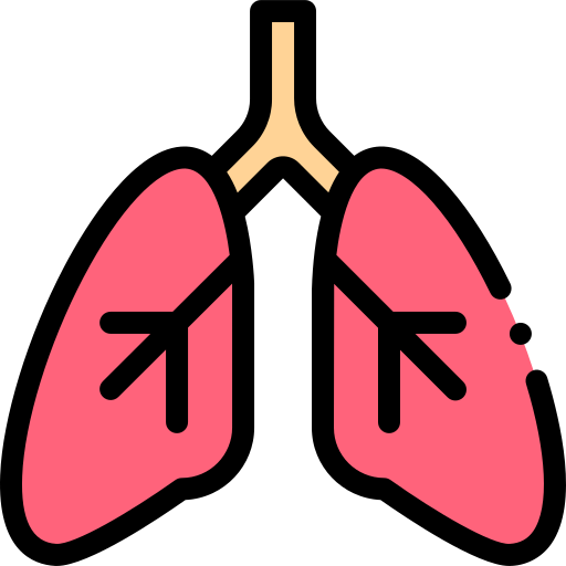 Lungs Detailed Rounded Lineal color icon