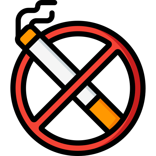 No smoking Basic Miscellany Lineal Color icon