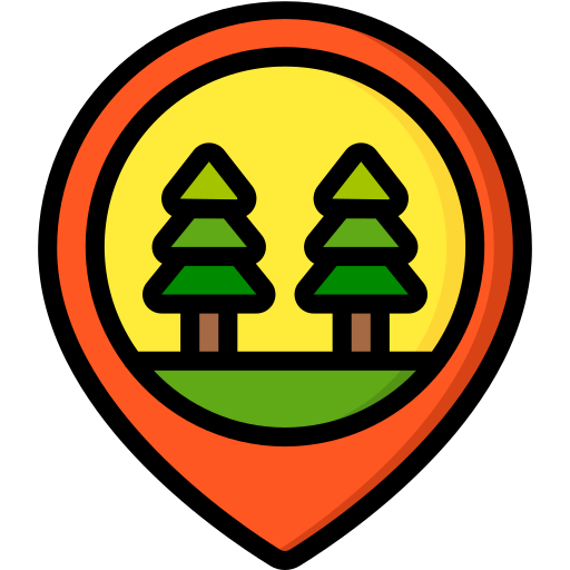 Pin free icon